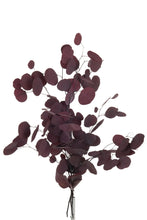 Afbeelding in Gallery-weergave laden, Kunsttak &quot;Eucalyptus&quot; plat Bordeaux
