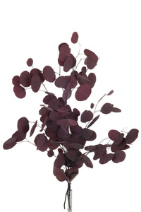 Kunsttak "Eucalyptus" plat Bordeaux