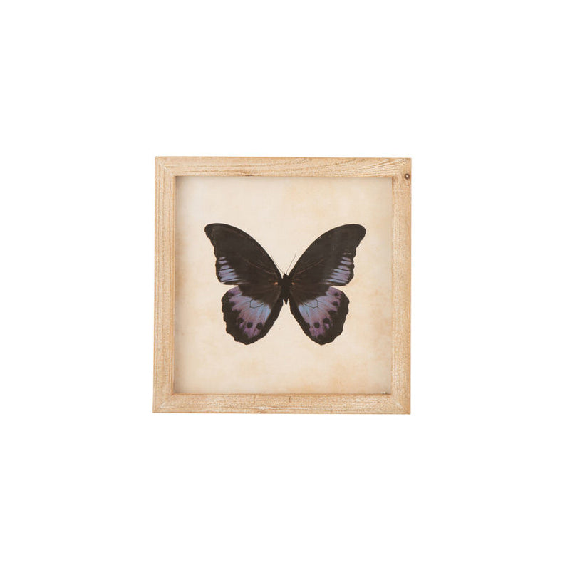 Kader met Vlinder nr.1 vierkant
