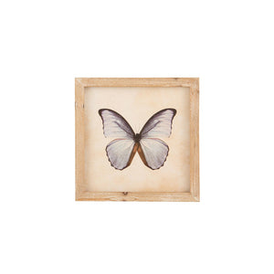 Kader met Vlinder nr.2 vierkant