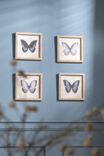Afbeelding in Gallery-weergave laden, Kader met Vlinder nr.1 vierkant
