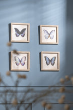 Afbeelding in Gallery-weergave laden, Kader met Vlinder nr.4 vierkant
