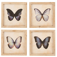 Afbeelding in Gallery-weergave laden, Kader met Vlinder nr.2 vierkant
