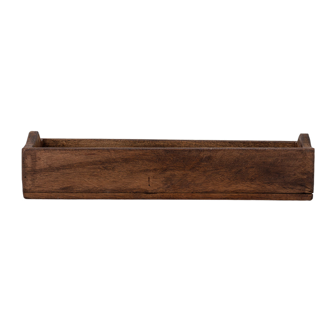 Box bruin, L