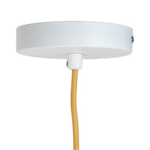 Afbeelding in Gallery-weergave laden, Hanglamp nature
