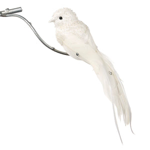 Vogel wit
