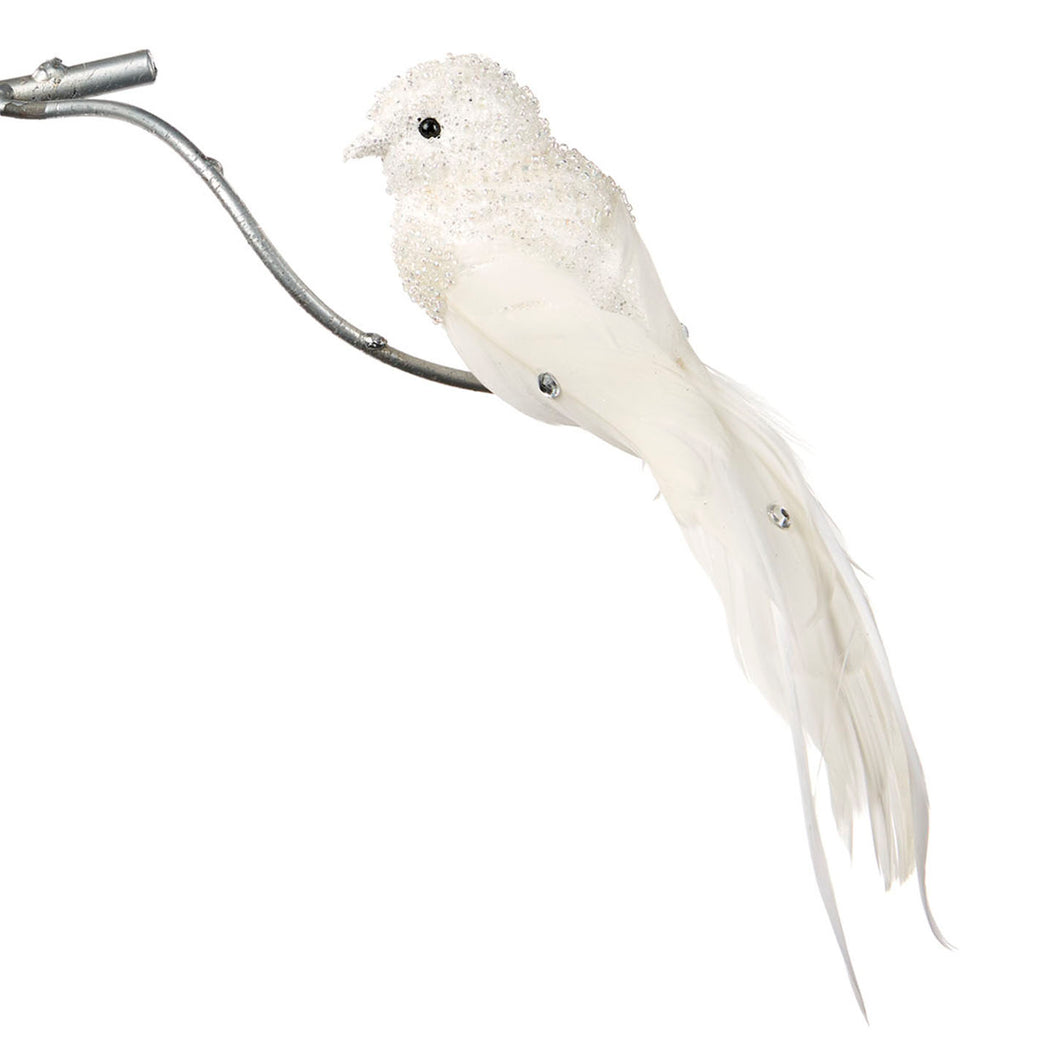 Vogel wit