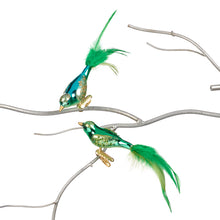 Afbeelding in Gallery-weergave laden, Vogel blauw clip
