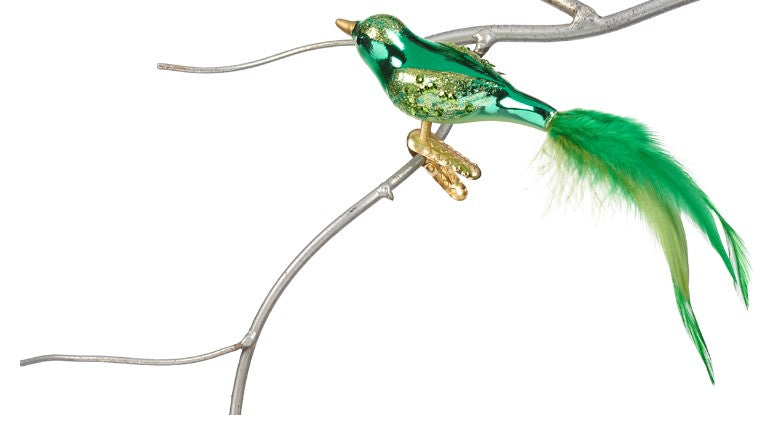 Vogel groen clip
