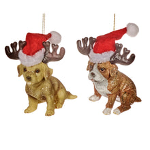 Afbeelding in Gallery-weergave laden, Hond kerstmuts 1
